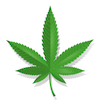 CBD Shop